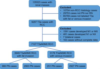 Partial and Radical Nephrectomy Provides Equivalent Oncologic Outcomes in pT3a Renal Cell Carcinoma: A Population-Based Study